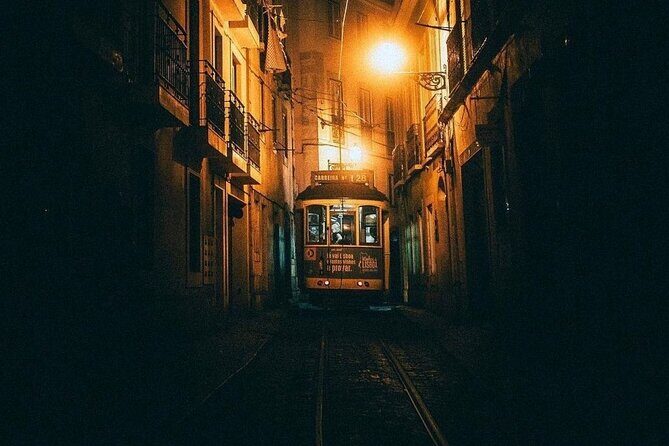 Live Fado Show with Traditional Dinner and Lisbon by Night - Who Would Love This Tour?