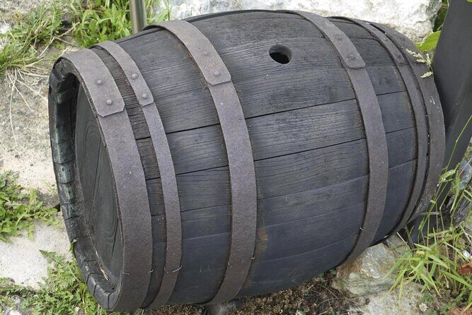 Live in the cider house, the tradition of the txotx. - Discovering the Authentic Basque Cider Tradition