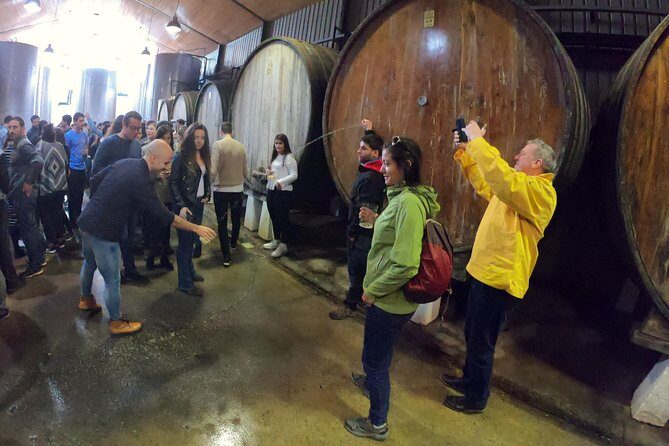 Live in the cider house, the tradition of the txotx. - FAQs