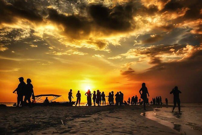 Live the best 10 attractions in Alter do Chão - Key Points