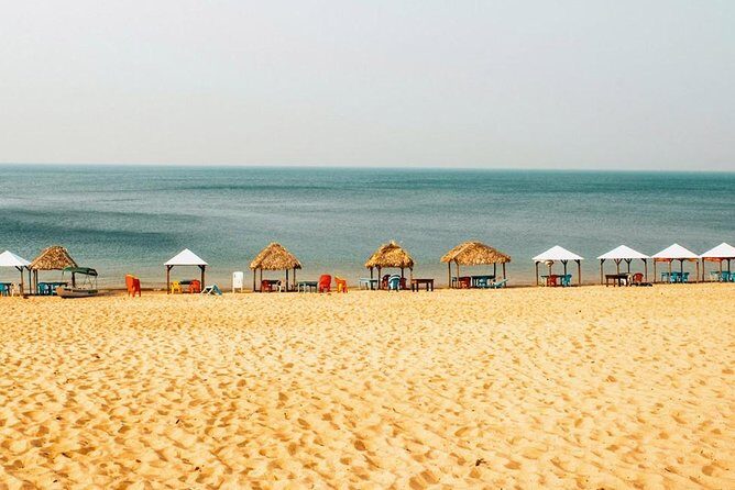 Live the best 10 attractions in Alter do Chão - Who Should Book This Tour?