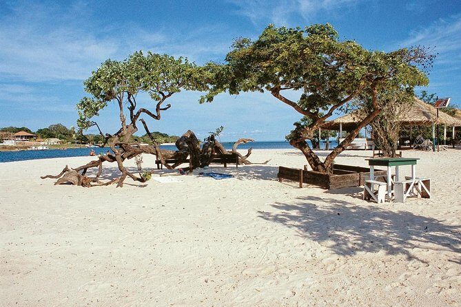 Live the best 10 attractions in Alter do Chão - FAQs