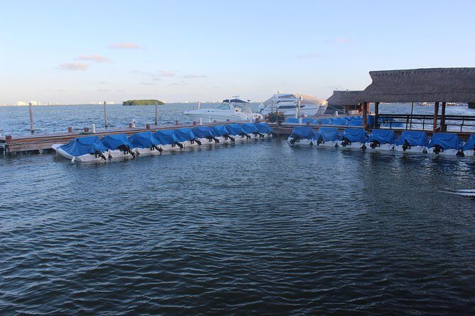 Live the experience of driving an Speedboat & Snorkel in CANCUN - The Sum Up: Who Should Consider This Tour?