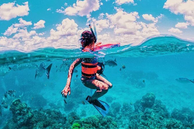 Live this unique snorkeling experience. El Cielo in Cozumel a magical tour. - Exploring Cozumel’s Underwater Marvels and More