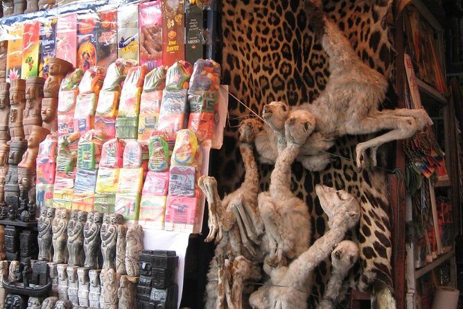 Live Virtual City Tour - La Paz - An In-Depth Look at the La Paz Virtual Tour