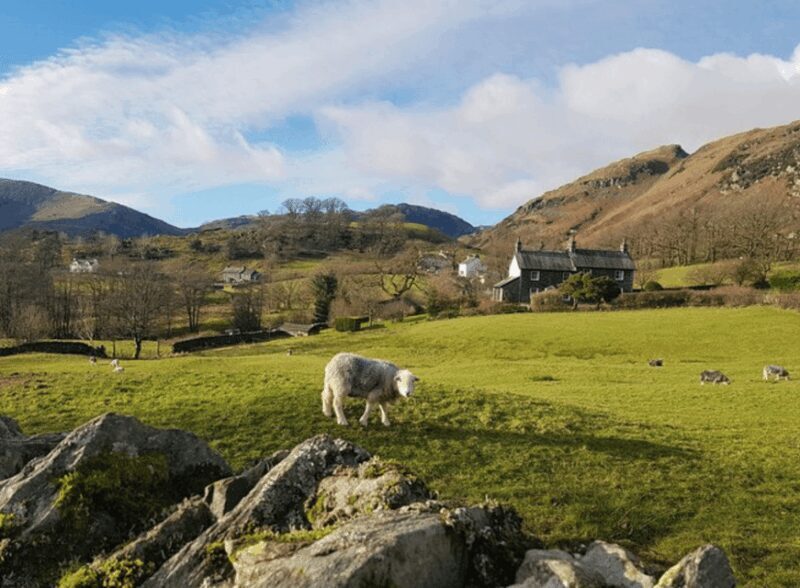 Liverpool: Lake District Tour with Lake Cruise & Train Ride - Authentic Experiences and Practical Details