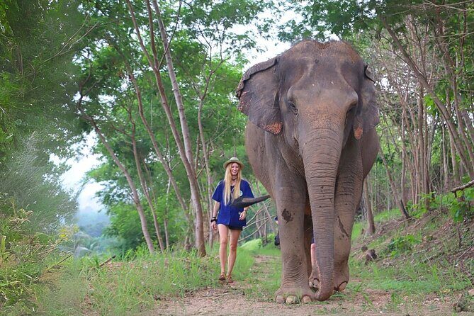Living Green Elephant Sanctuary Tour from Bangkok and Pattaya - Living Green Elephant Sanctuary Tour from Bangkok and Pattaya — A Genuine Animal Encounter