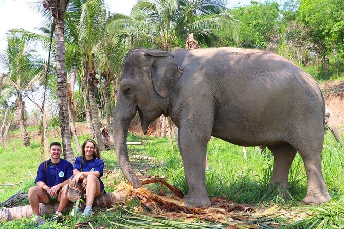 Living Green Elephant Sanctuary Tour from Bangkok and Pattaya - Key Points