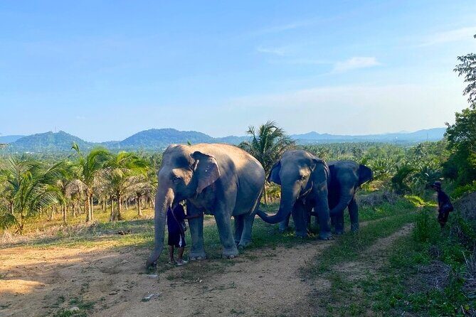 Living Green Elephant Sanctuary Tour from Bangkok and Pattaya - Final Word