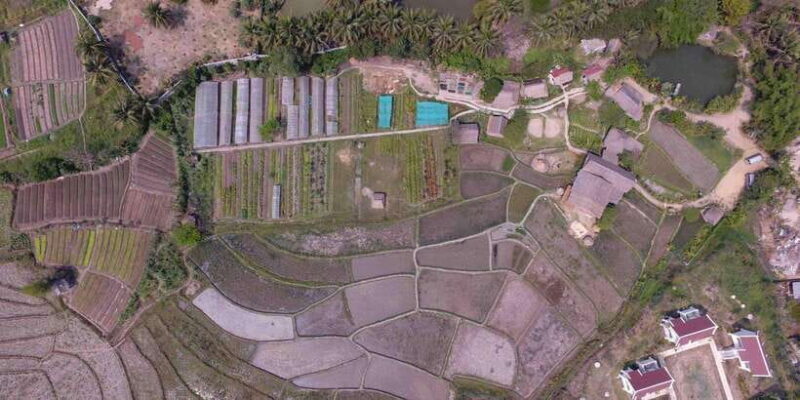 Living Land Farm Rice Experience - Why This Tour Offers Value