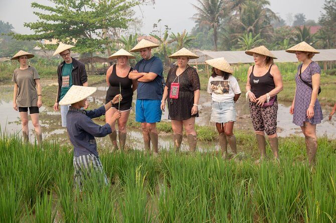 Living Land Rice Farming Experience - Final Thoughts