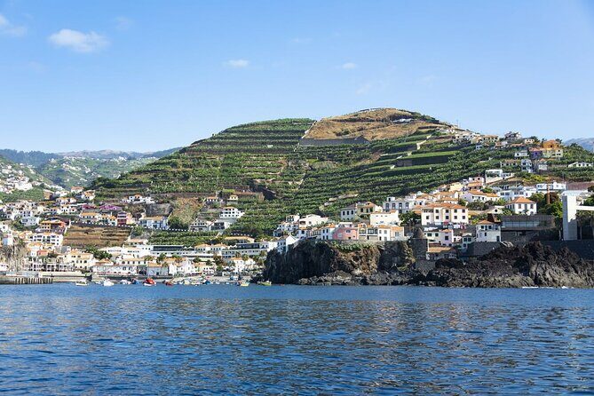 Living Sea Boat Trip in Madeira from Funchal - Key Points