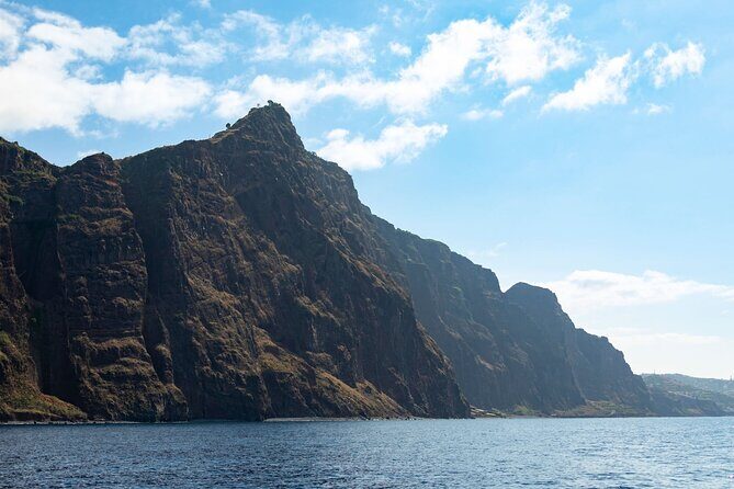 Living Sea Boat Trip in Madeira from Funchal - The Sum Up: A Truly Enjoyable Day at Sea