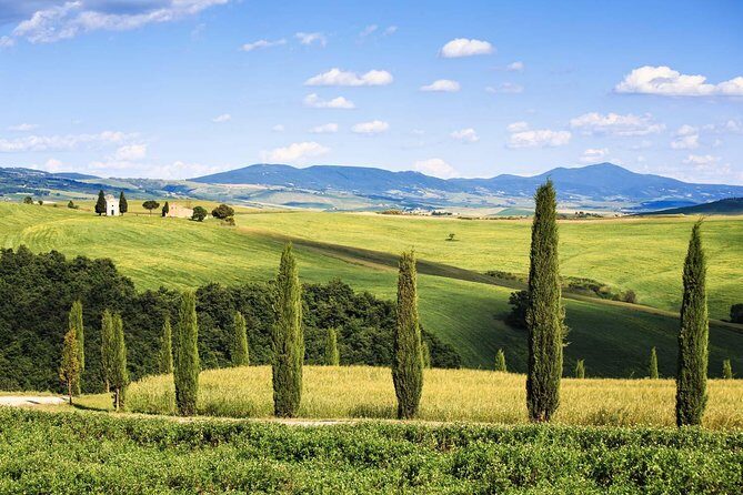 Livorno shore excursion: Bolgheri and Supertuscan private tour - Key Points