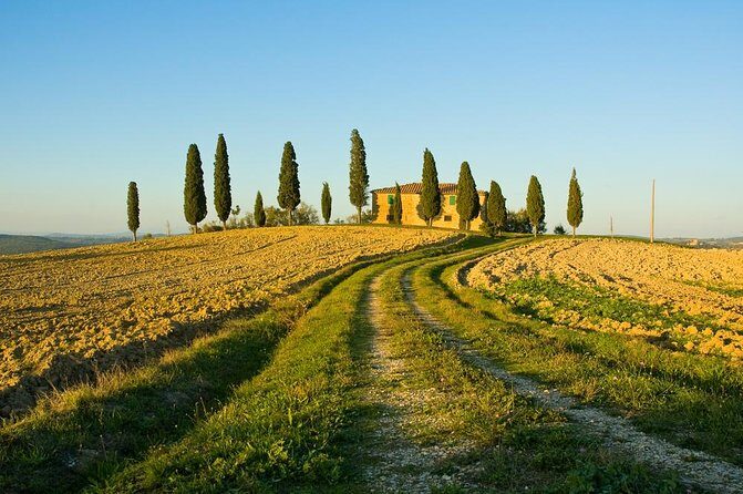 Livorno Shore Excursion: Chianti and Tuscany Countryside Private Wine Tour - Who Will Enjoy This Tour?