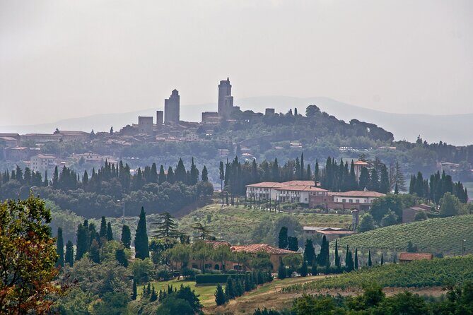 Livorno Shore Excursion: Private Day Trip to Siena and San Gimignano - Final Thoughts