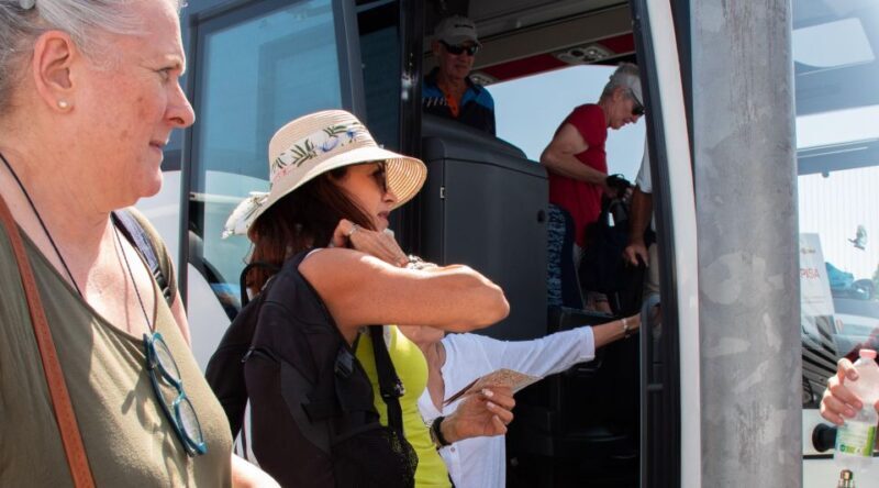 Livorno: Shore Excursion to Pisa and Livorno Bus Tour - Frequently Asked Questions (FAQs)