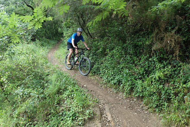 Lizandro Trails - Mountain Biking - A Detailed Look at Lizandro Trails Mountain Biking Adventure