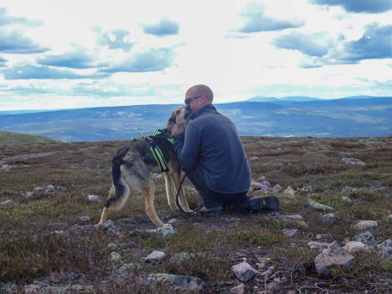 Ljørdalen - Trysil: Husky Hike with Campfire and lunch! - A Detailed Look at the Husky Hike Experience