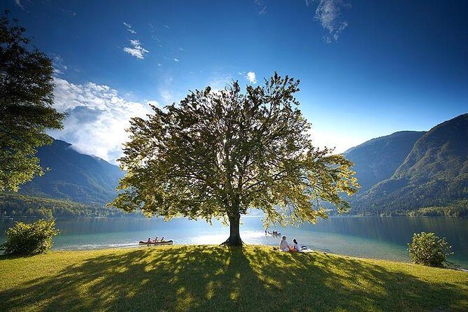 Ljubljana Airport- Lake Bled or vice versa. Private transfer. - A smooth and comfortable way to get from Ljubljana Airport to Lake Bled