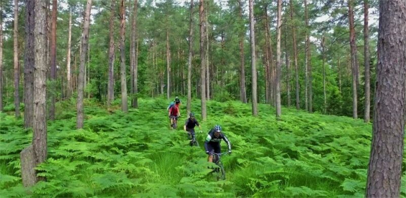 Ljubljana: City Center and Golovec Trails Mountain Bike Tour - Exploring Ljubljana: More Than Just a City