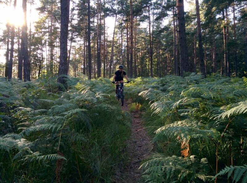 Ljubljana: City Center and Golovec Trails Mountain Bike Tour - Itinerary Breakdown: Making the Most of Your 4 Hours