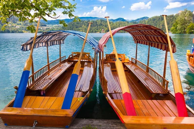 Ljubljana: Lake Bled & Triglav National Park Full-Day Trip - Transport and Guide Experience