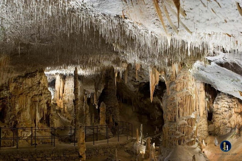 Ljubljana: Postojna Cave and Predjama Castle Tour - A Deep Dive into the Experience
