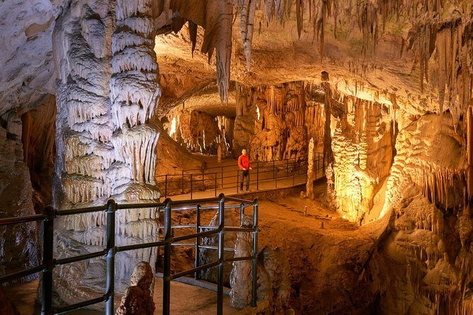 Ljubljana & Postojna Cave from Bled - Who Will Enjoy This Tour?