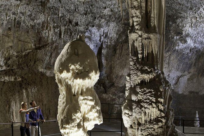 Ljubljana: Postojna cave & Predjama castle small group tour - A Deep Dive into the Experience