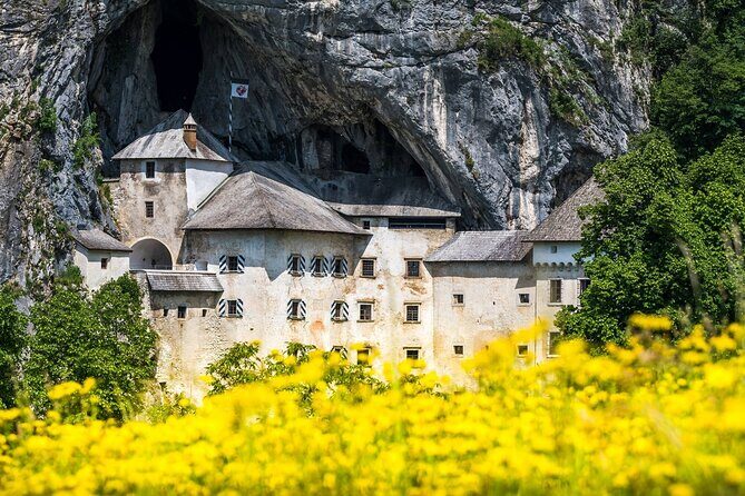 Ljubljana: Postojna cave & Predjama castle small group tour - What Makes This Tour a Great Choice?