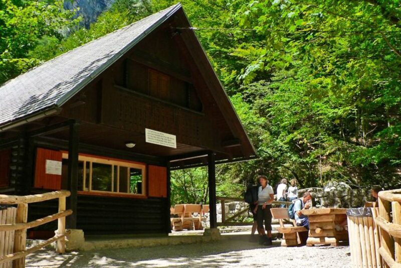Ljubljana: Savica Waterfall, Lake Bohinj, and Lake Bled Tour - Why This Tour Stands Out
