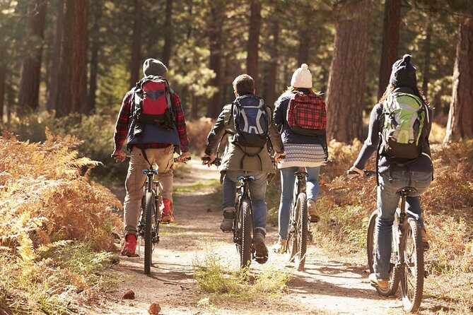 Ljubljana's Marshes Cycling Tour - An In-Depth Look at the Ljubljana Marshes Cycling Tour