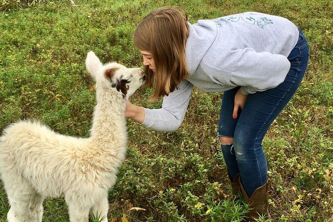 Llama/Alpaca Hike and Farm Tour - A Gentle, Authentic Encounter with Farm Animals in the Catskills