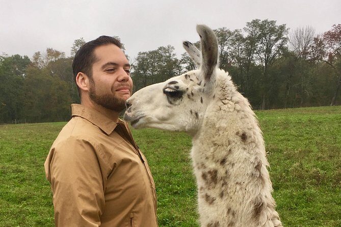 Llama/Alpaca Hike and Farm Tour - Key Points