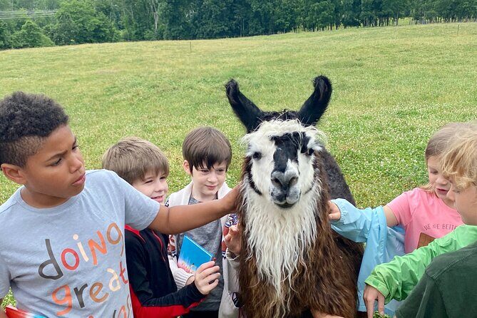 Llama/Alpaca Hike and Farm Tour - Who Will Enjoy This Tour?