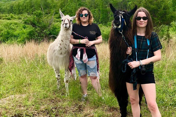 Llama/Alpaca Hike and Farm Tour - FAQs