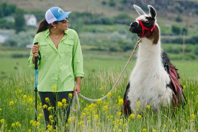 Llama Hike and Farm Tour - What to Expect from the Llama Hike and Farm Tour in Bozeman