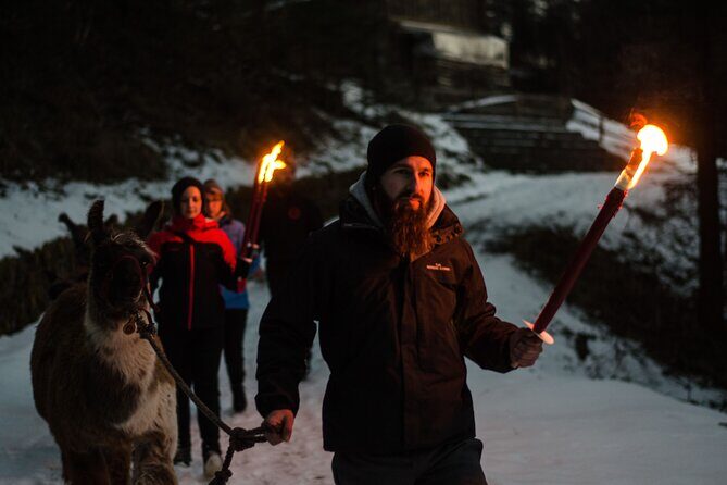 Llama hike with homemade, traditional cheese fondue - A Closer Look at the Itinerary and Experience