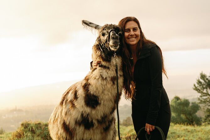 Llama Sunset Hike - A Unique Sunset Trek in Maui with Llamas: What You Need to Know