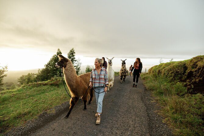 Llama Sunset Hike - Frequently Asked Questions