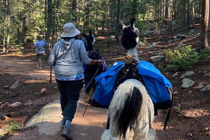 Llama to Lunch in the Rocky Mountains - Final Thoughts