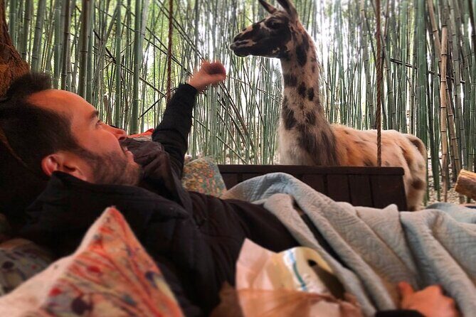 Llama Yoga - Key Points