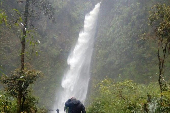 Llanquihue Lake Cirquit - Waterfalls - Real Traveler Insights From Reviews