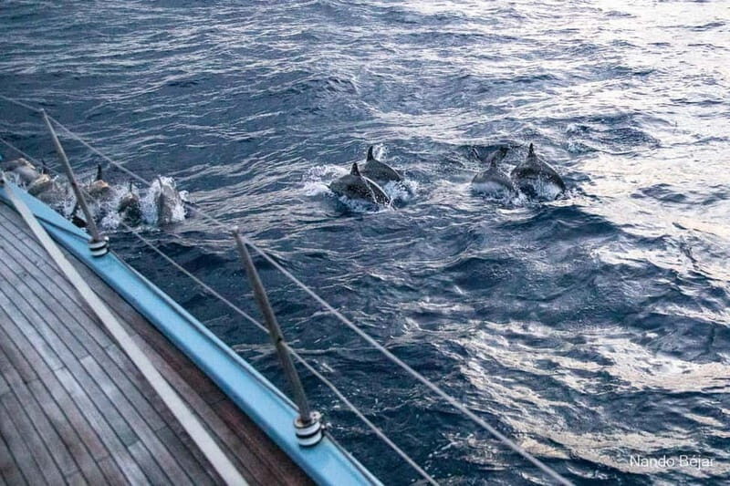 Lloret De Mar: Exclusive private sailing cruise - Authenticity and Value
