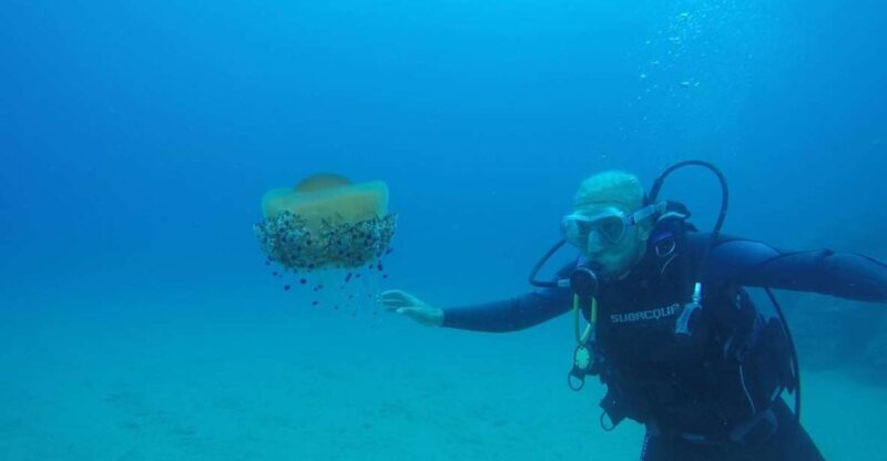Lloret de Mar: Scuba Diving Experience no License Required - Key Points