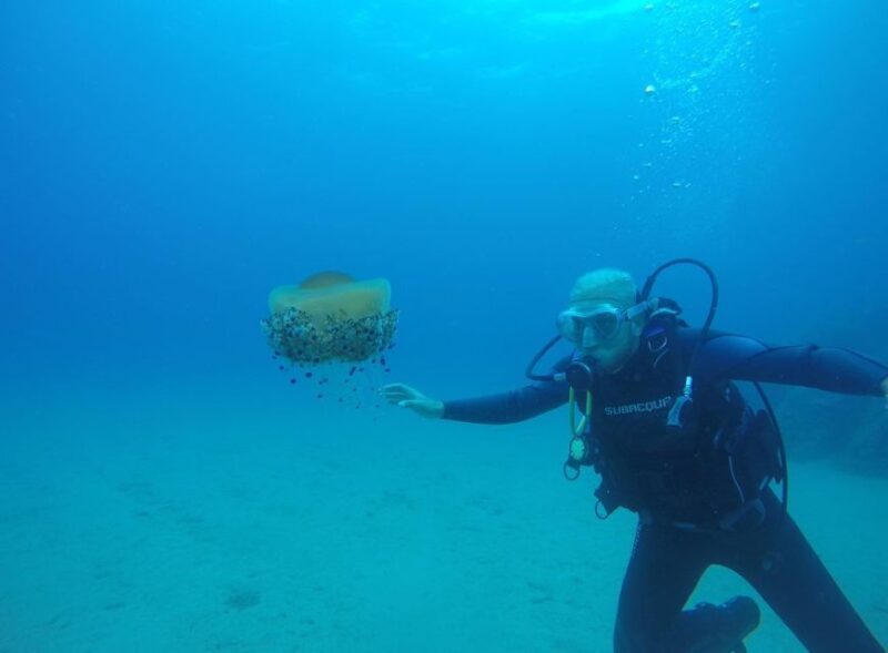 Lloret de Mar: Scuba Diving Experience no License Required - Final Thoughts