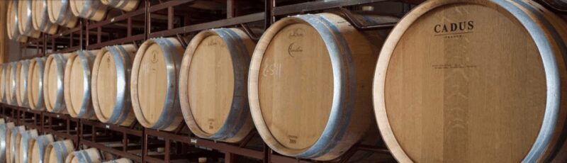 Llucmajor: Bodegas Bordoy Wine Tour - Detailed Review of the Bodegas Bordoy Wine Tour