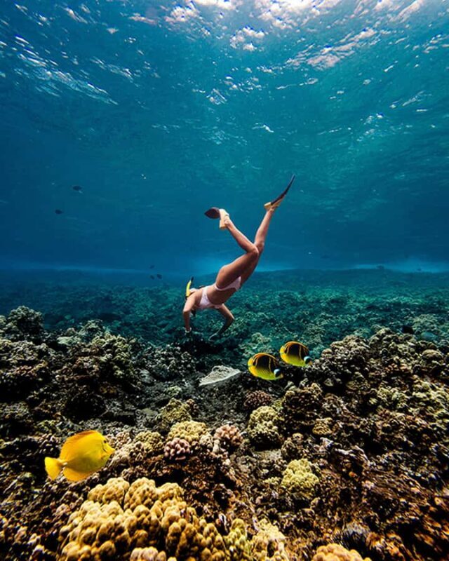 Lna'i Coast Snorkel & Sail from Lahaina - Frequently Asked Questions