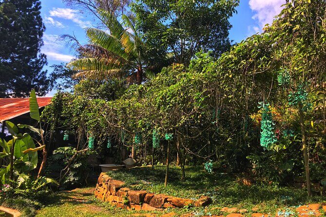 Lo mejor para hacer en Cali - Paseo de las Mariposas - A Deep Dive into the Paseo de las Mariposas Experience